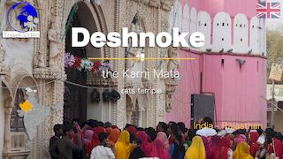 Deshnoke, a festival at the rats temple • Rajasthan, India